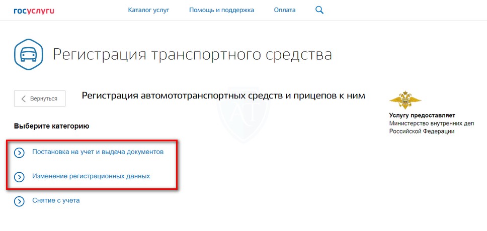 Выбор типа регистрации автомобиля в ГИБДД